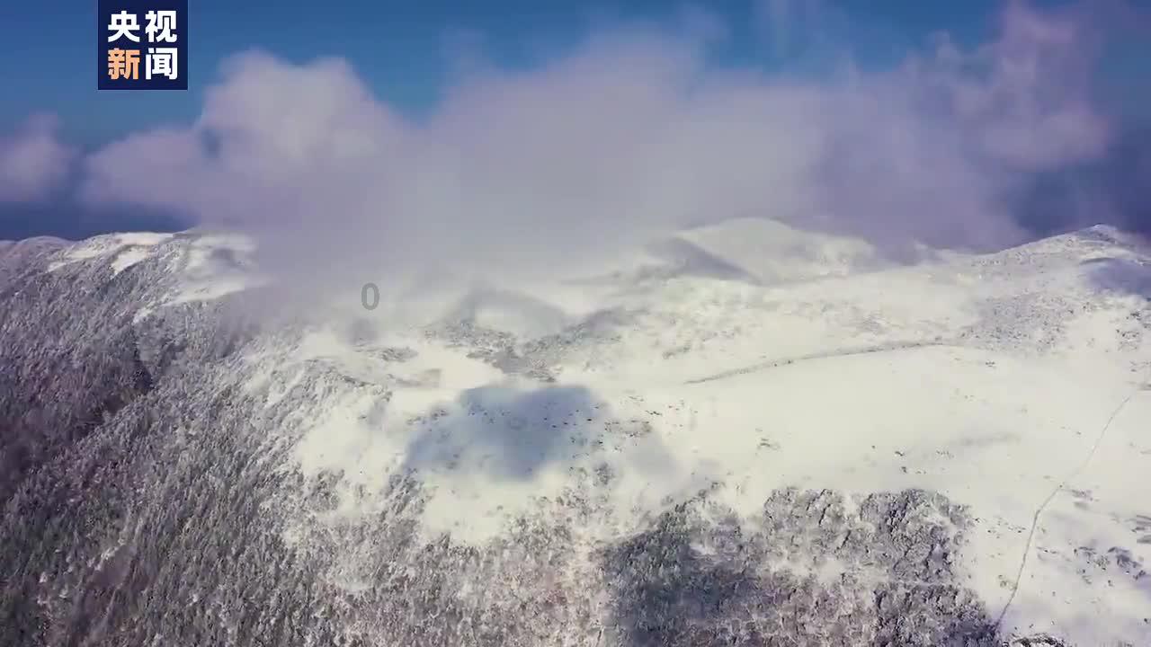 春雨直播app